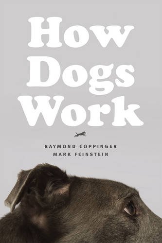 How Dogs Work Raymond Coppinger Mark Feinstein