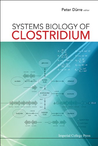 Systems Biology Of Clostridium 1st Edition Peter Durre Ed