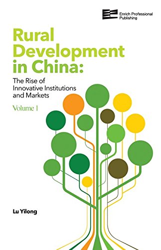 Rural Development In China The Rise Of Innovative Institutions And Markets Volume 1 Lu Yilong
