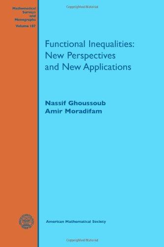 Functional Inequalities New Perspectives And New Applications Nassif Ghoussoub