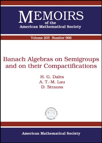 Banach Algebras On Semigroups And On Their Compactifications H G Dales