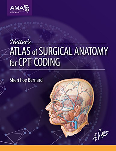 Netters Atlas Of Surgical Anatomy For Cpt Coding 1st Edition American Medical Association