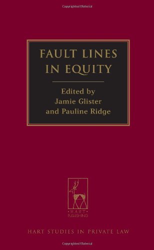 Fault Lines In Equity Jamie Glister Pauline Ridge