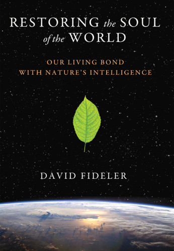 Restoring The Soul Of The World David Fideler