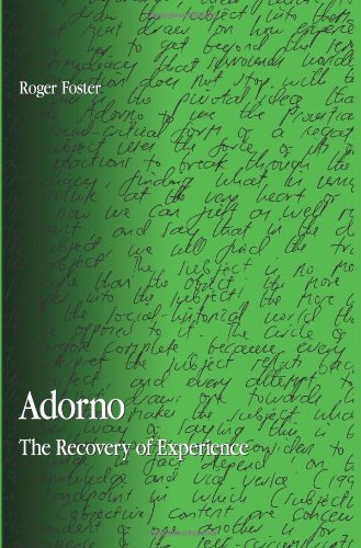 Adorno The Recovery Of Experience Roger Foster
