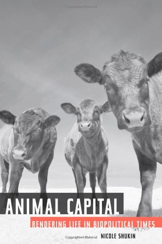 Animal Capital Rendering Life In Biopolitical Times Shukin