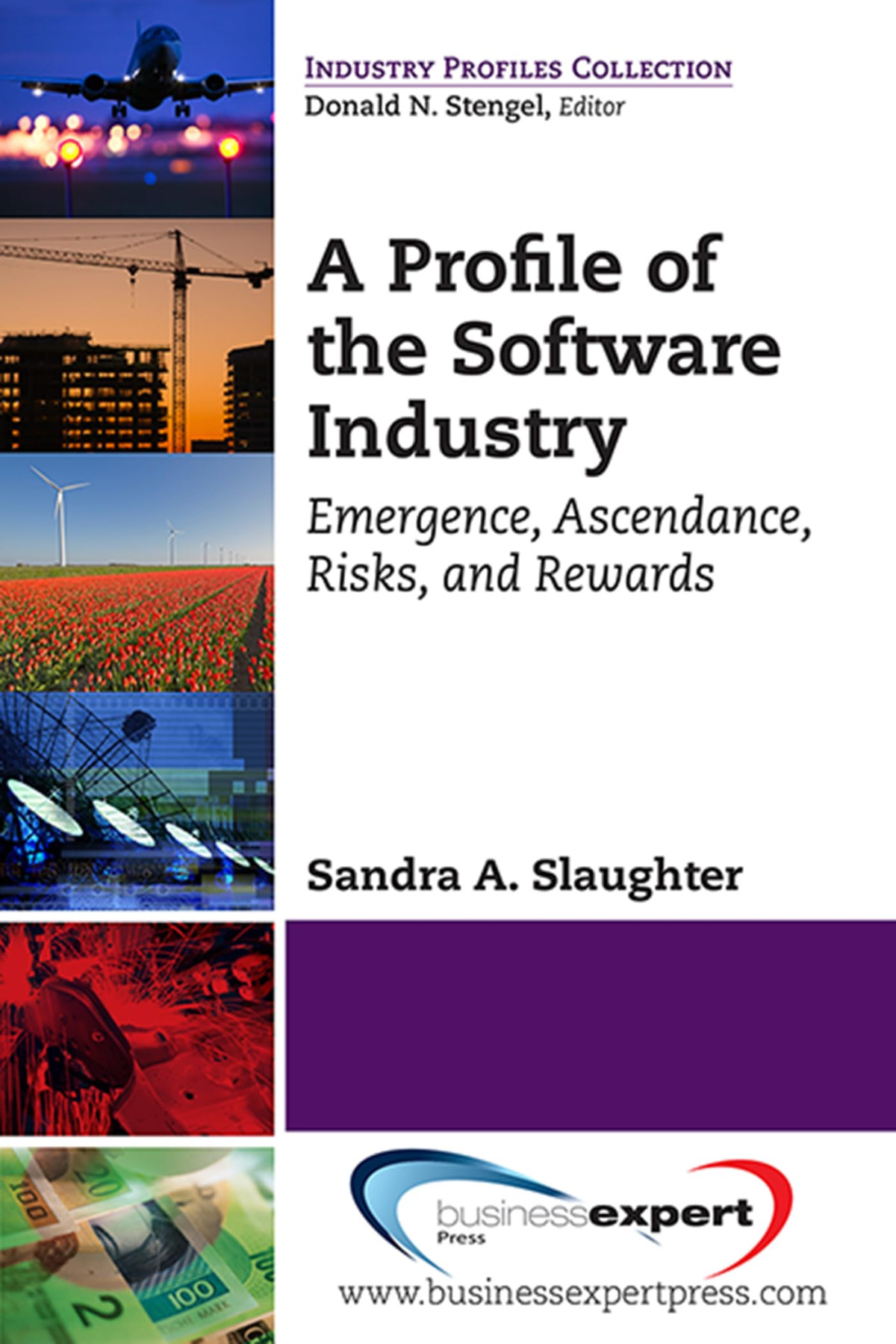 A Profile Of The Software Industry Emergence Ascendance Risks And Rewards Sandra A Slaughter