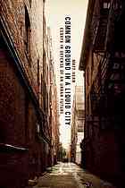 Common Ground In A Liquid City Essays In Defense Of An Urban Future Hern