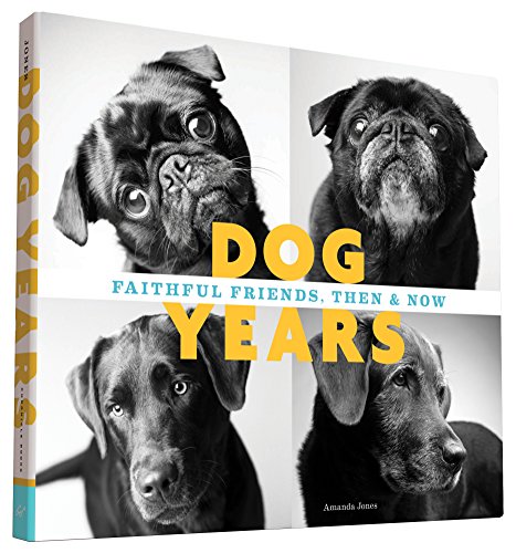 Dog Years Faithful Friends Then Now Jones Amanda