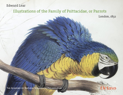 Illustrations Of The Family Of Psittacidae Or Parrots Lear Edward