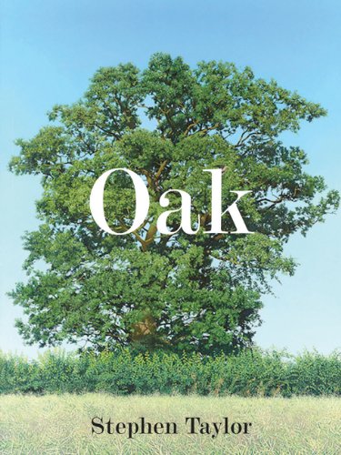 Oak One Tree Three Years Fifty Paintings 1st Ed Stephen Taylor