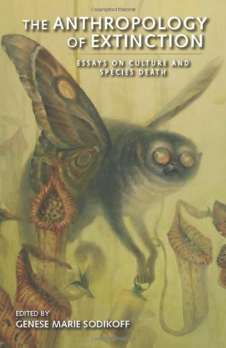 The Anthropology Of Extinction Essays On Culture And Species Death Sodikoff