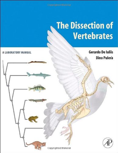 The Dissection Of Vertebrates A Laboratory Manual 1st Edition Gerardo De Iuliis Gerald Deiuliis Dino Pulera