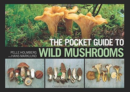 Mushrooming Without Fear The Beginners Guide To Collecting Safe And Delicious Mushrooms 1st Edition Hedstrm