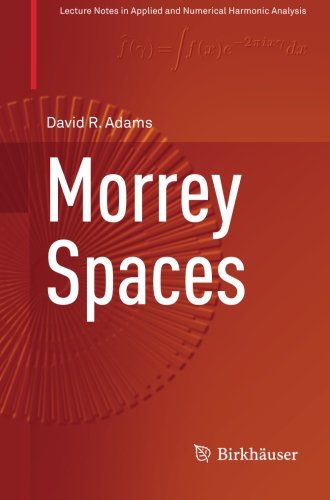 Morrey Spaces 1st Edition David R Adams
