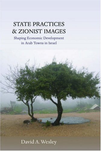 State Practices And Zionist Images Shaping Economic Development In Arab Towns In Israel Illustrated Edition David A Wesley