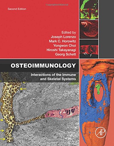 Osteoimmunology Interactions Of The Immune And Skeletal Systems 2nd Edition Joseph Lorenzo