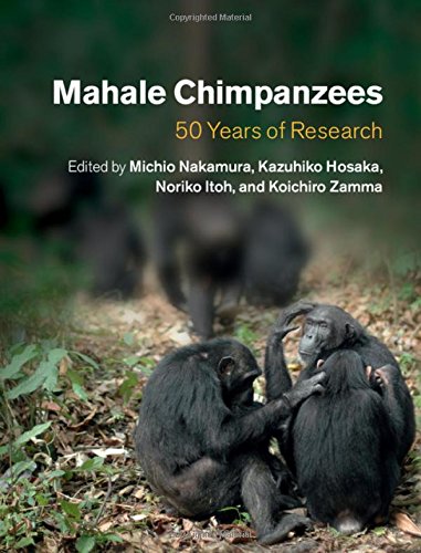 Mahale Chimpanzees 50 Years Of Research 1st Edition Michio Nakamura