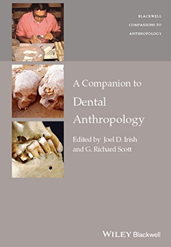 A Companion To Dental Anthropology 1st Edition Irish Joel D Scott
