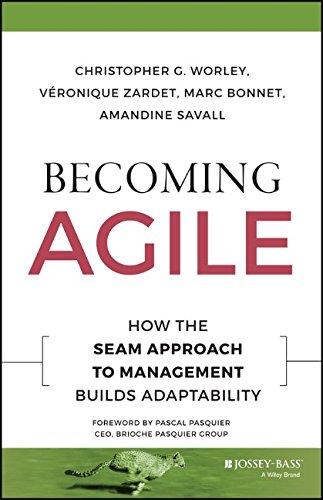 Becoming Agile How The Seam Approach To Management Builds Adaptability 1st Edition Christopher G Worley