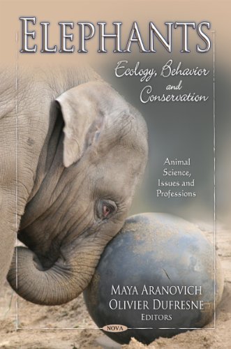 Elephants Maya Aranovich Olivier Dufresne