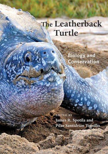 The Leatherback Turtle Biology And Conservation James R Spotila