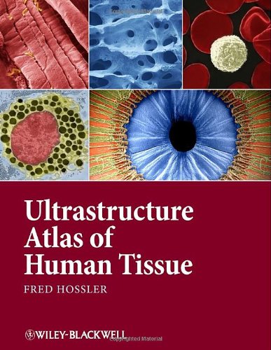Ultrastructure Atlas Of Human Tissues 1st Edition Fred Hossler