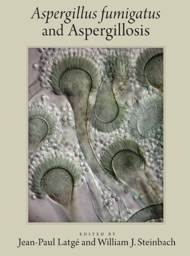 Aspergillus Fumigatus And Aspergillosis 1st Edition Steinbach