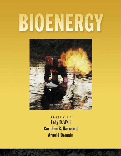 Bioenergy 1st Edition Demain Arnold L Wall Judy D Harwood