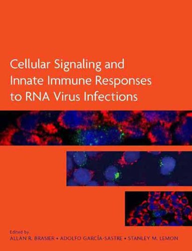 Cellular Signaling And Innate Immune Responses To Rna Virus Infections 1st Edition Garcasastre