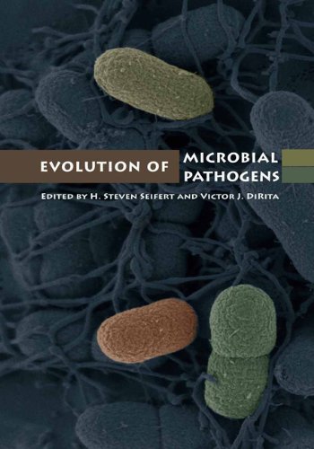 Evolution Of Microbial Pathogens 1st Edition H Steven Seifert