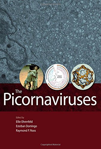 The Picornaviruses 1st Edition Ehrenfeld Ellie Domingo Esteban Roos
