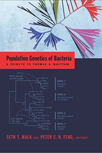 Population Genetics Of Bacteria A Tribute To Thomas S Whittam 1st Edition Peter C H Feng