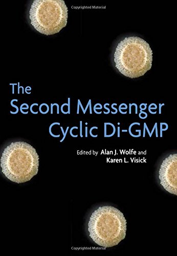 The Second Messenger Cyclic Digmp 1st Edition Visick Karen L Wolfe