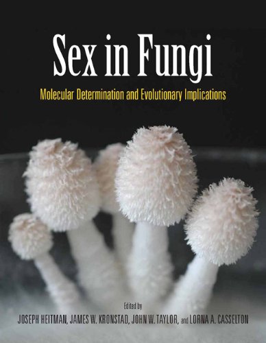Sex In Fungi Molecular Determination And Evolutionary Implications 1st Edition Joseph Heitman