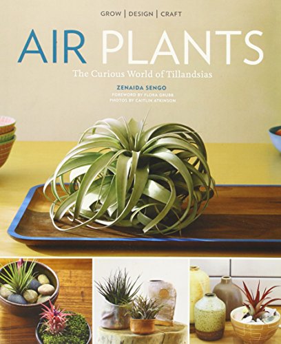 Air Plants The Curious World Of Tillandsias First Edition Zenaida Sengo