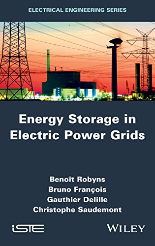 Energy Storage In Electric Power Grids 1st Edition Delille Gauthier Franois