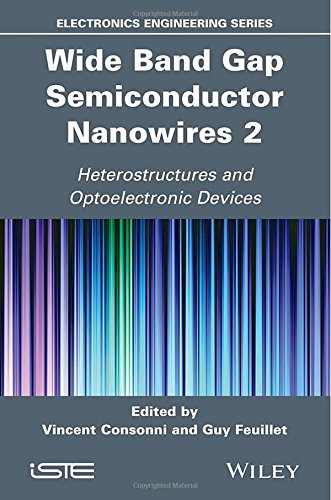 Wide Band Gap Semiconductor Nanowires For Optical Devices 1st Edition Vincent Consonni