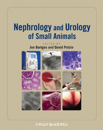 Nephrology And Urology Of Small Animals 1st Edition Bartges Joe Polzin