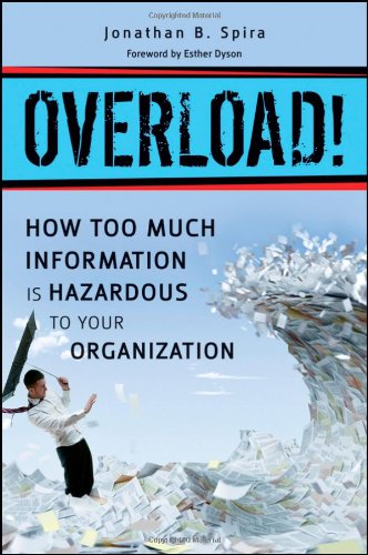 Overload How Too Much Information Is Hazardous To Your Organization 1st Edition Jonathan B Spira