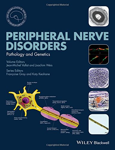 Peripheral Nerve Disorders Pathology And Genetics 1st Edition Jeanmichel Vallat