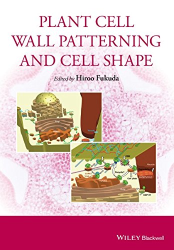 Plant Cell Wall Patterning And Cell Shape 1st Edition Fukuda