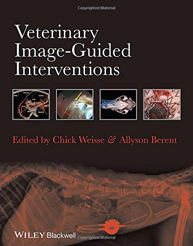 Veterinary Imageguided Interventions 1st Edition Berent Allyson Weisse