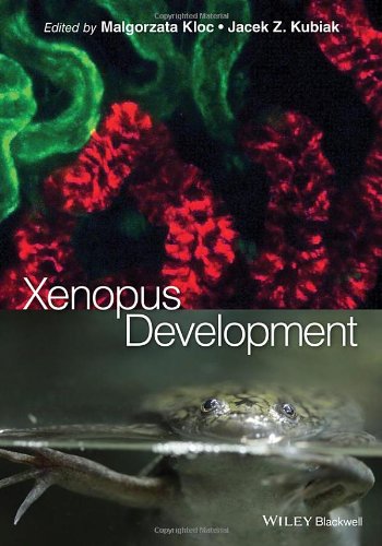 Xenopus Development 1st Edition Kubiak Jacek Z Kloc Malgorzata