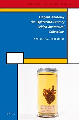 Elegant Anatomy The Eighteenthcentury Leiden Anatomical Collections Marieke M A Hendriksen