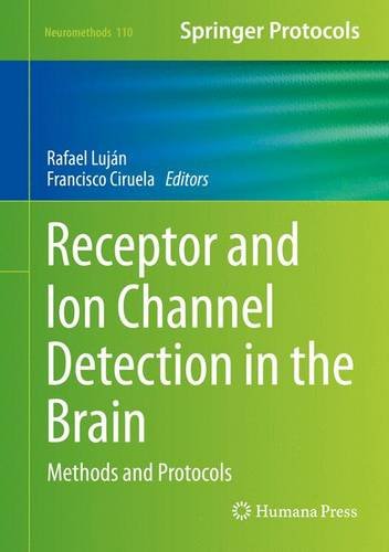 Receptor And Ion Channel Detection In The Brain Methods And Protocols Rafael Lujn