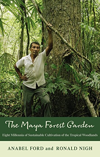 Maya Forest Garden Eight Millennia Of Sustainable Cultivation Of The Tropical Woodlands Anabel Ford