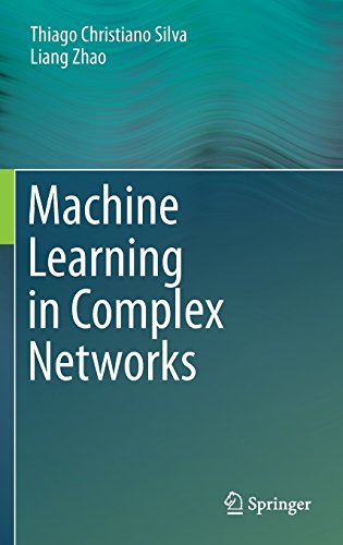 Machine Learning In Complex Networks 1st Edition Thiago Christiano Silva