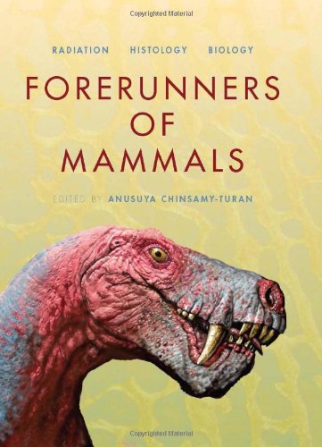 Forerunners Of Mammals Radiation Histology Biology Anusuya Chinsamyturan