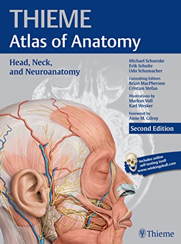 Head Neck And Neuroanatomy 2nd Edition Michael Schuenke Erik Schulte